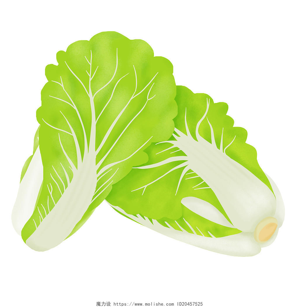 卡通手绘两个大白菜免抠素材瓜果蔬菜元素大白菜蔬菜元素